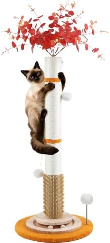 Cat Scratching Post