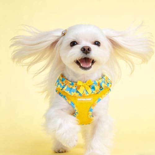 EXPAWLORER Step-in Dog Harness Small Sized and Leash Set