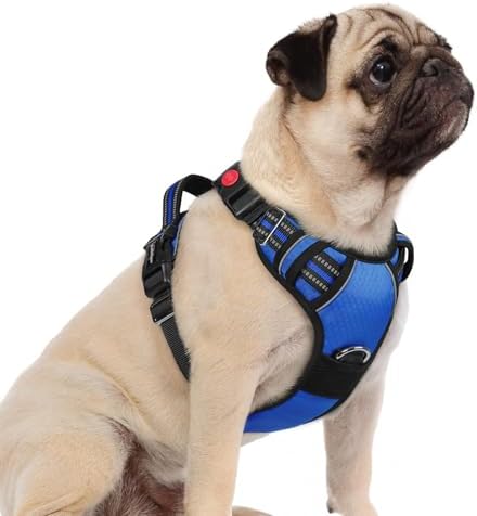 rabbitgoo Dog Harness Small Sized, No Pull 3 Buckles Easy On & Off