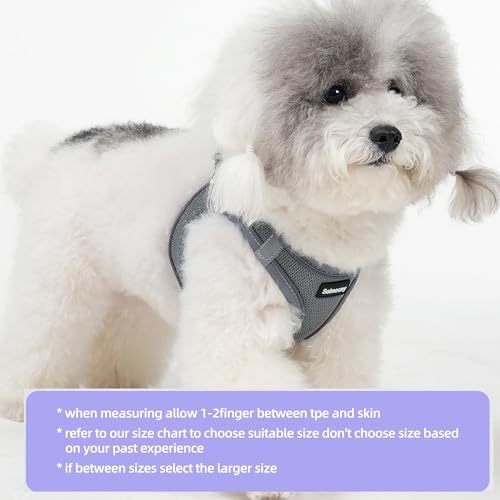 Solmoony Sparkly Small Dog Harness and Leash Set, Step in Soft Light Puppy Vest