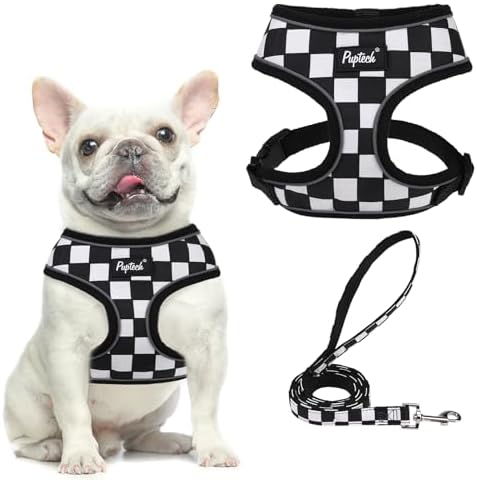 PUPTECK Small Dog Harness and Leash Set No Pull