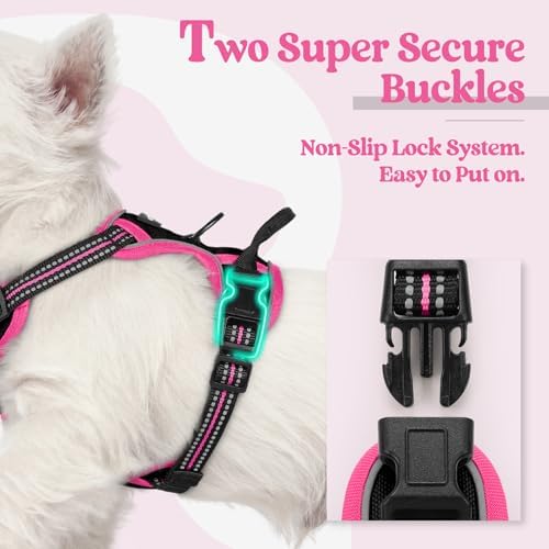 rabbitgoo Dog Harness, No Pull for Small Dogs