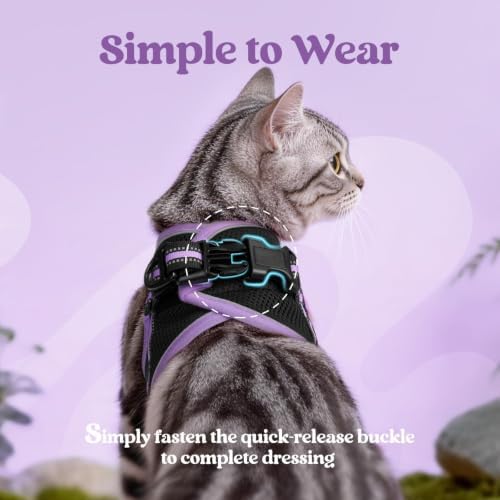 rabbitgoo Cat Harness and Leash Set, Step-in Soft Vest