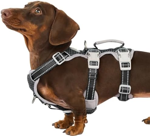 Huntboo Escape Proof Dog Harness, Secure Dog Harness No Escape, Fully