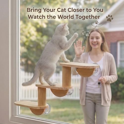 Cat Window Ladder, 3-Level Solid Pine Steps