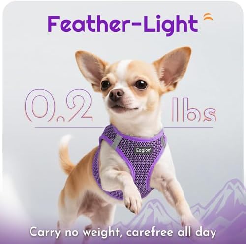 Eagloo Small Dog Harness and Leash Set, Step in Medium Small Puppy Pet Vest