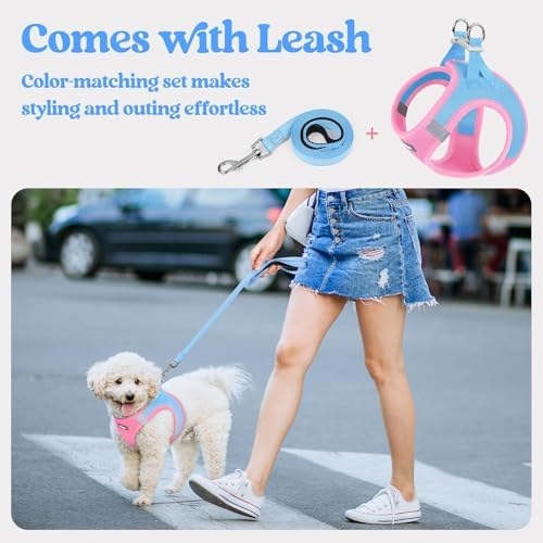 rabbitgoo Dog Harness Medium Sized and Leash Set, Step-in Puppy Pet Vest