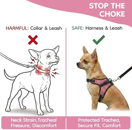 No Pull Reflective Adjustable Dog Harness