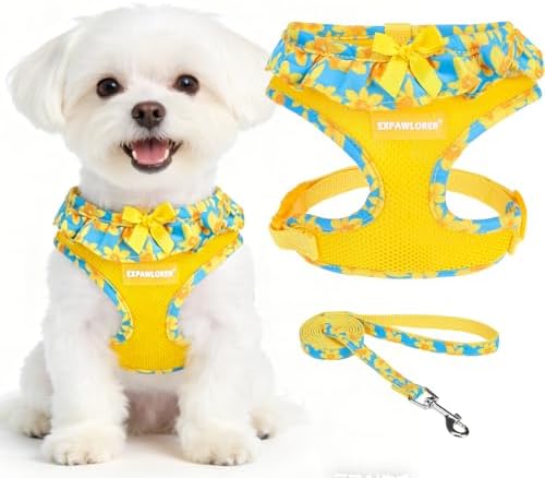 EXPAWLORER Step-in Dog Harness Small Sized and Leash Set