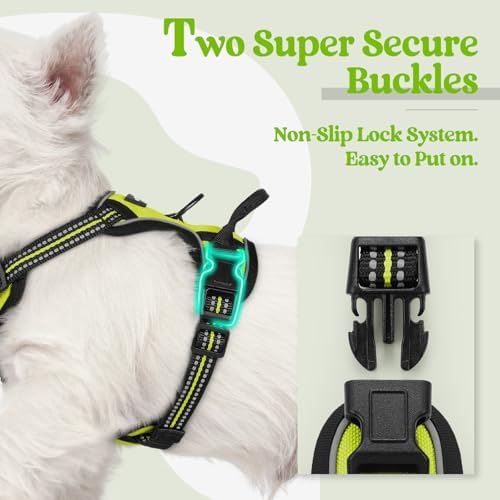 rabbitgoo Dog Harness No Pull