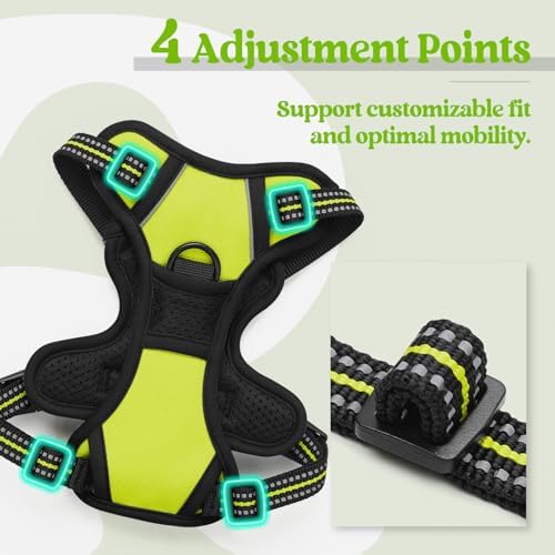 rabbitgoo Dog Harness No Pull