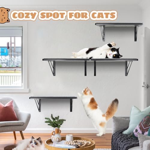 Cat Wall Shelves Set of 4, Purrfect Cat Furniture Set