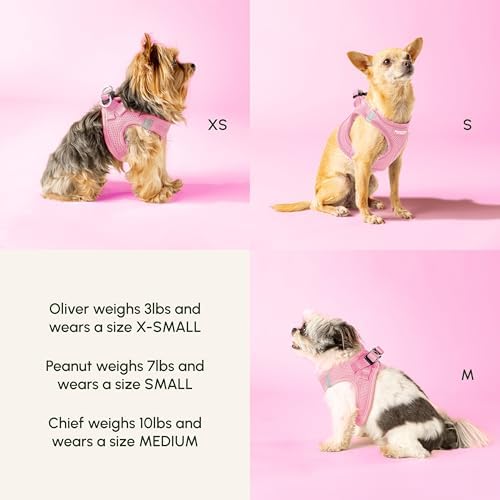 Pastel Step-In Harness for Small Dogs