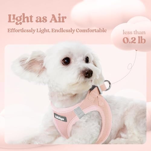 rabbitgoo Dog Harness Small Sized and Leash Set, Step-in Puppy Pet Vest