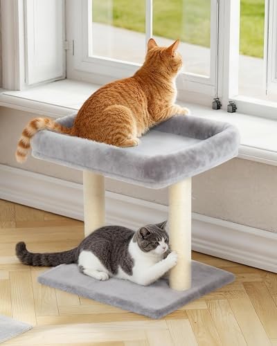 19" Small Cat Tree with Scratching Post