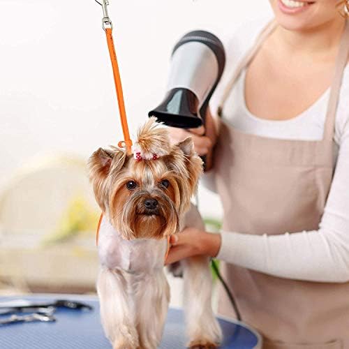 Jelly Pet Grooming Loop for Dogs, Fits Most Pet Grooming Tubs/Tables,