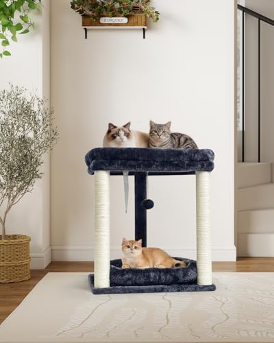 SYANDLVY Small Cat Tree for Indoor Cats