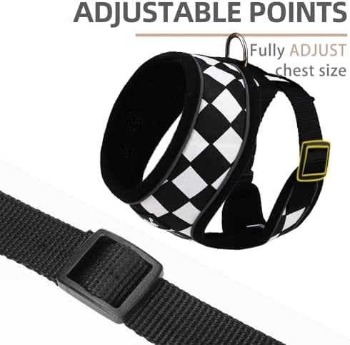 PUPTECK Small Dog Harness and Leash Set No Pull