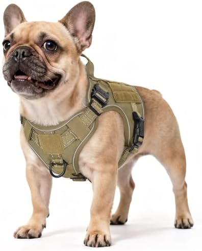 rabbitgoo Tactical Dog Harness for Small, Heavy Duty Military No Pull Vest