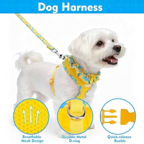 EXPAWLORER Step-in Dog Harness Small Sized and Leash Set