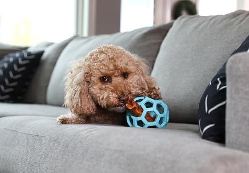 JW Pet HOL-ee Roller Dog Puzzle Ball, Medium 4.5in, Natural Rubber