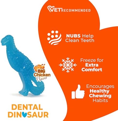 Nylabone Puppy Chew Dental Dinosaur Dog Chew Toy, Chicken Flavor