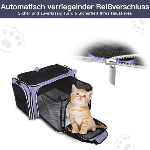 BAGLHER Cat Carrier Bag, Airline Approved Pet Carrier Soft Side Pet Travel 5