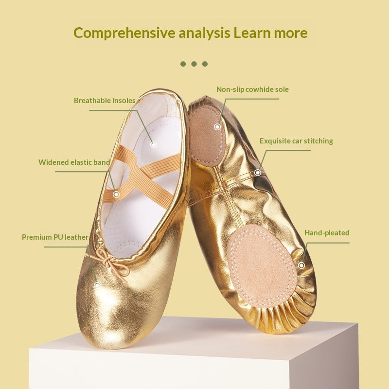 Soft-soled Practice PU Leather Cat-claw Gold And Silver Dance Shoes