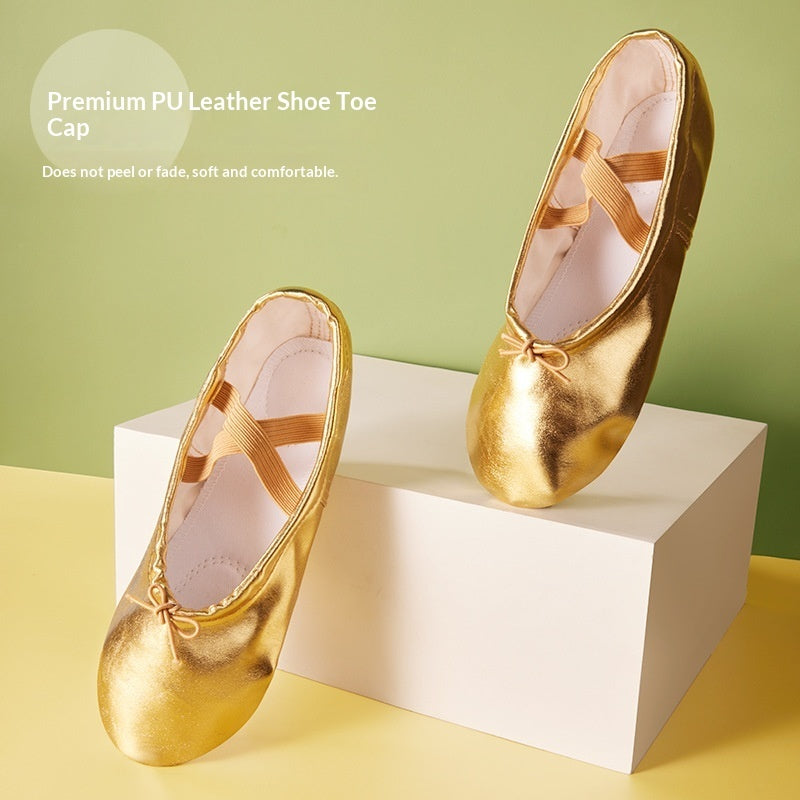 Soft-soled Practice PU Leather Cat-claw Gold And Silver Dance Shoes