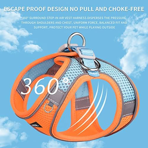 AIITLE Medium Dog Harness and Leash Set, Step-in Puppy Pet Vest