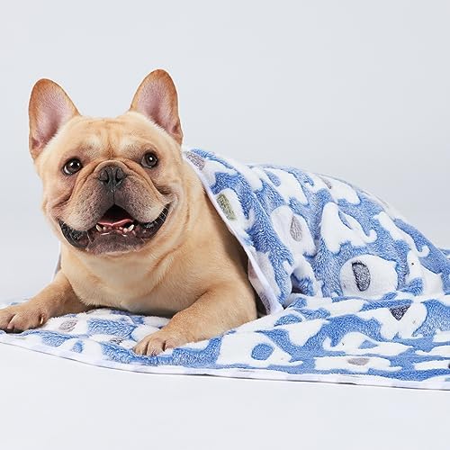 1 Pack 3 Blankets Super Soft Fluffy Premium Cute Elephant Pattern Pet Blanket