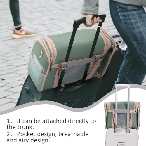 Luxury Mint Green PU Leather Pet Carrier Bag, Airline Compliant Portable Travel