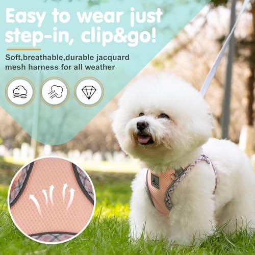 Dog Harness & Leash Set