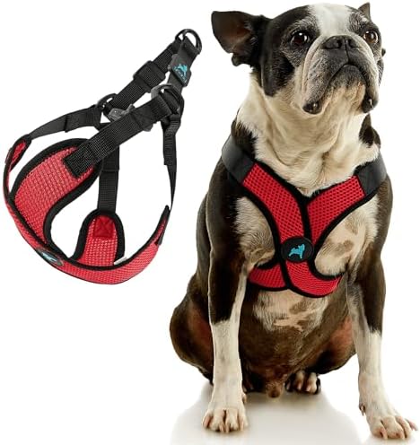 Gooby Comfort X Step-in Lite Harness, Choke-Free