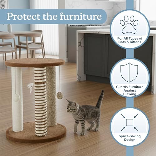 Cat Scratching Post