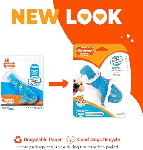 Nylabone Puppy Chew Dental Dinosaur Dog Chew Toy, Chicken Flavor