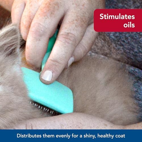 Coastal Pet Lil Pals Kitten Slicker Brush