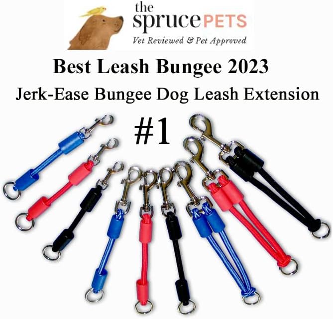 BUNGEE DOG LEASH EXTENSION – Patented Shock Absorber Attachment Protects You