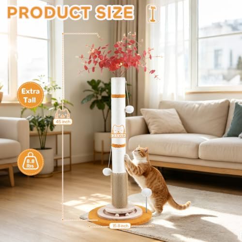Cat Scratching Post