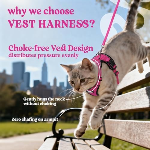 rabbitgoo Cat Harness and Leash Set, Escape Proof Vest, Rose Red