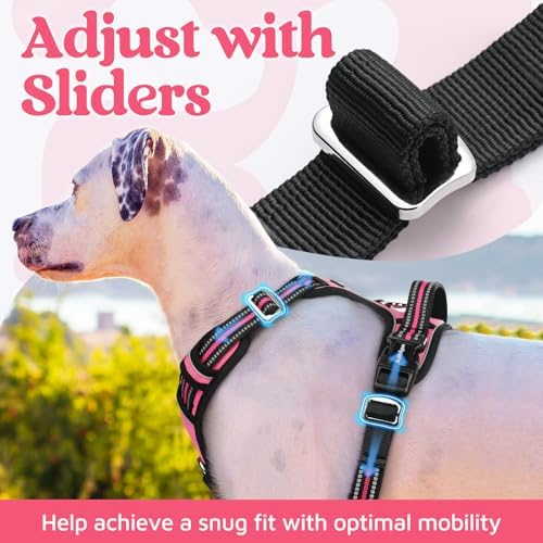 rabbitgoo Dog Harness Medium Sized, No Pull 3 Buckles Easy On & Off