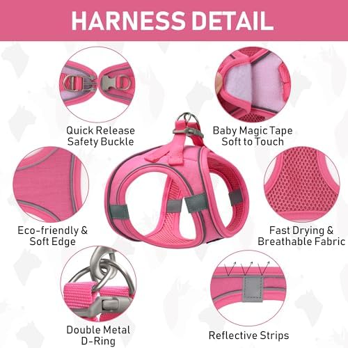 GAMUDA Small Pet Harness Collar and Leash Set, Step in No Chock No Pull Linen