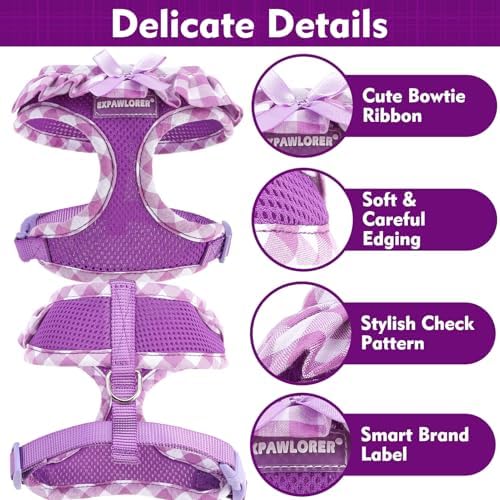EXPAWLORER Step-in Dog Harness Small Sized Collar and Leash Set
