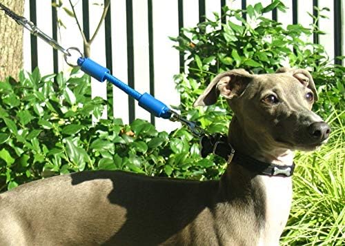 BUNGEE DOG LEASH EXTENSION – Patented Shock Absorber Attachment Protects You