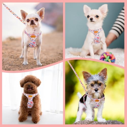 SlowTon No Pull Dog Harness