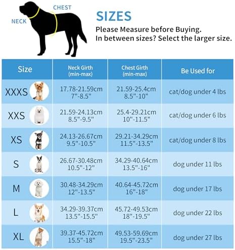AIITLE Medium Dog Harness and Leash Set, Step-in Puppy Pet Vest