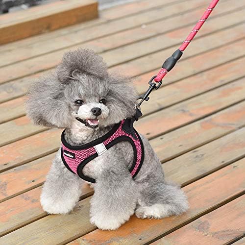 Dog Harness Step-in Breathable Puppy Cat Vest
