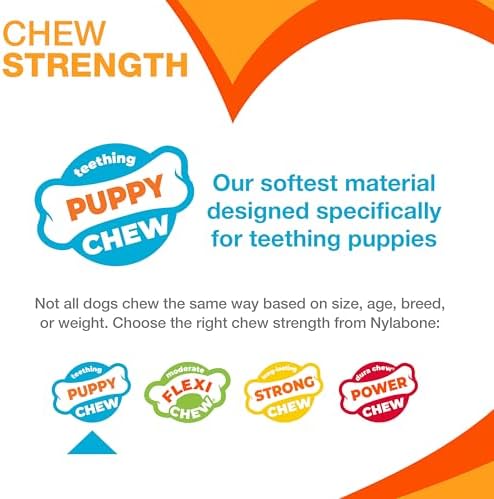 Nylabone Puppy Chew Dental Dinosaur Dog Chew Toy, Chicken Flavor
