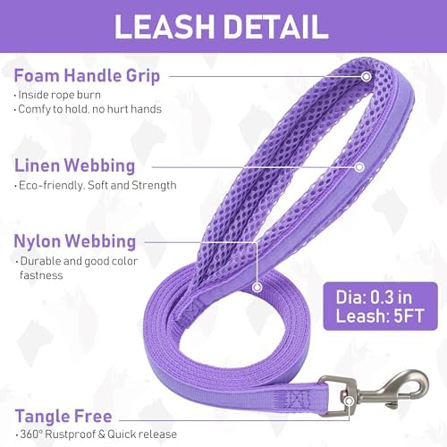 GAMUDA Small Pet Harness Collar and Leash Set, Step in No Chock No Pull Linen