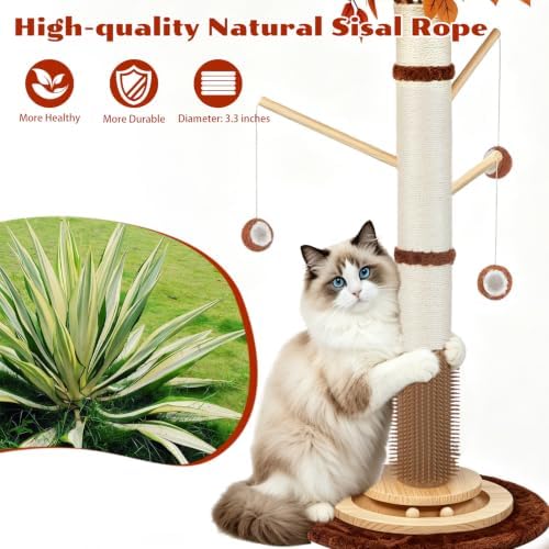Cat Scratching Post